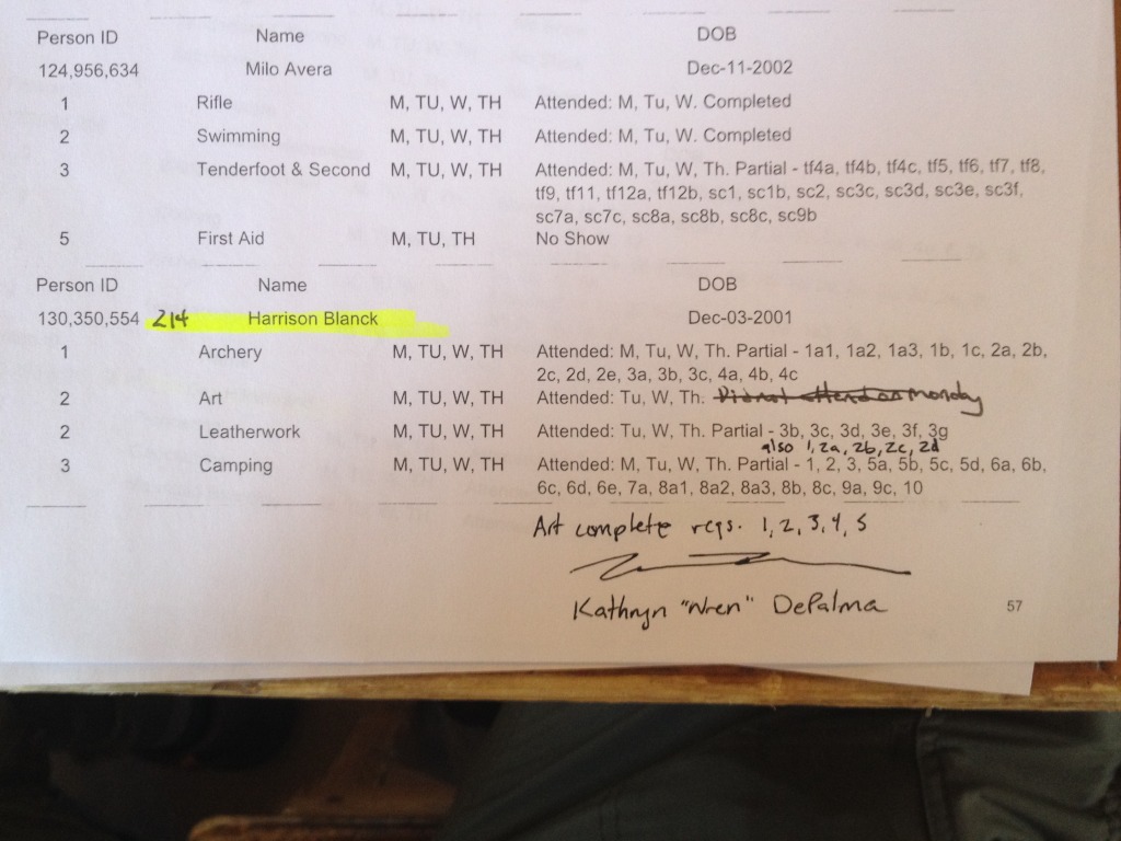 iPhone 951.jpg